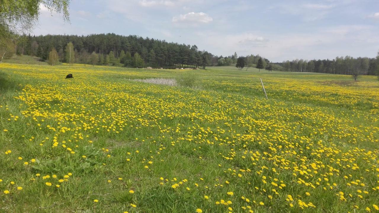 Agroturystyka Sominy Piotr Exterior foto