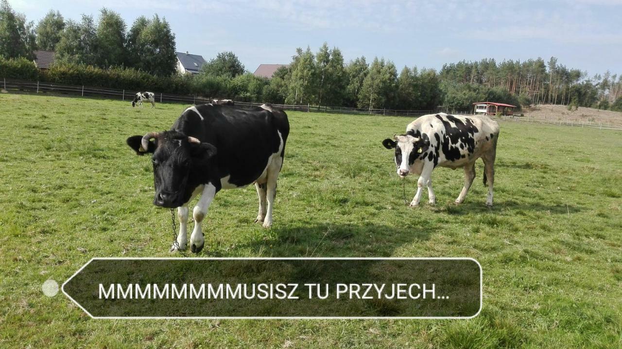 Agroturystyka Sominy Piotr Exterior foto